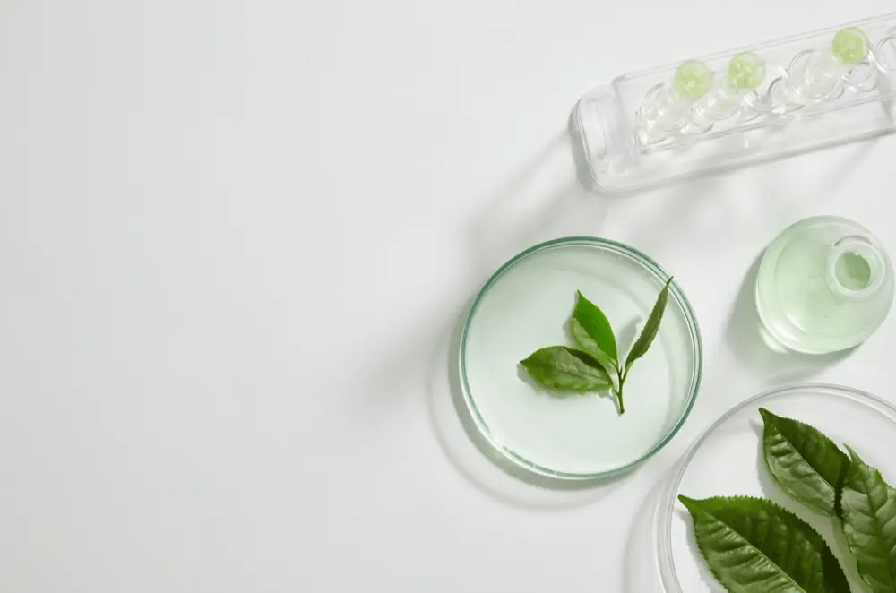 Start Ayurvedic PCD Franchise