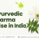 Best Ayurvedic PCD Pharma Franchise in India