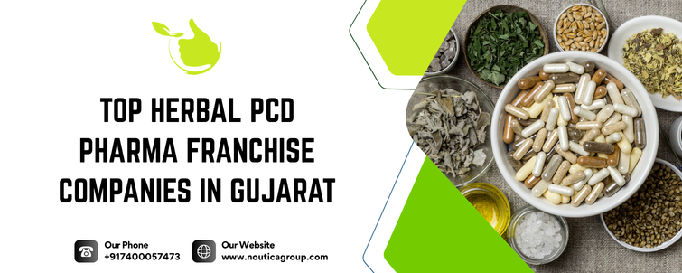 Top Herbal Pcd Pharma Franchise Companies In Gujarat